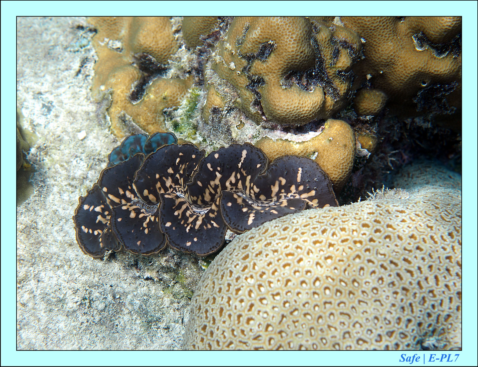 2016 - 07 - Leng Tengah - 058